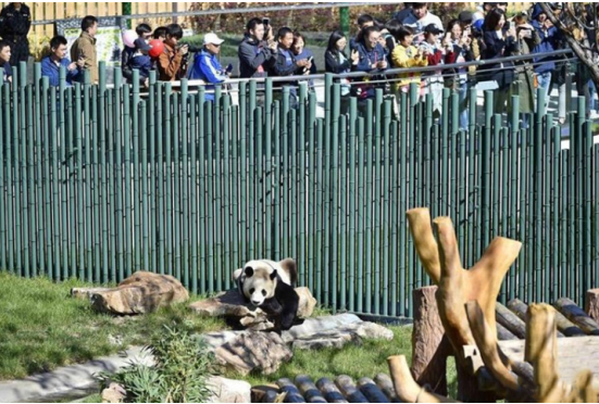 沈陽森林動物園